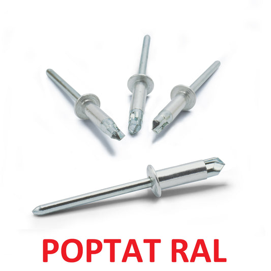 Fast rivet 4 x 10 aluminum / galvanized, drill S, painted, RAL POPTAT, pack of 400 pcs.