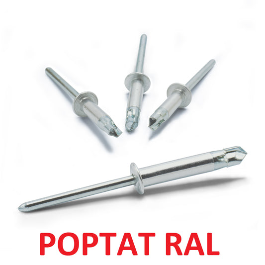 Fast rivet 4 x 20 aluminum / galvanized, drill L, painted, RAL POPTAT, pack of 400 pcs.